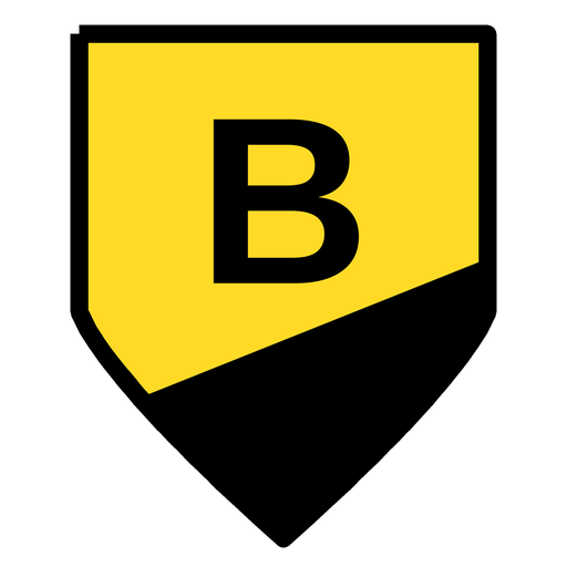 Dortmund Fans Chronicle